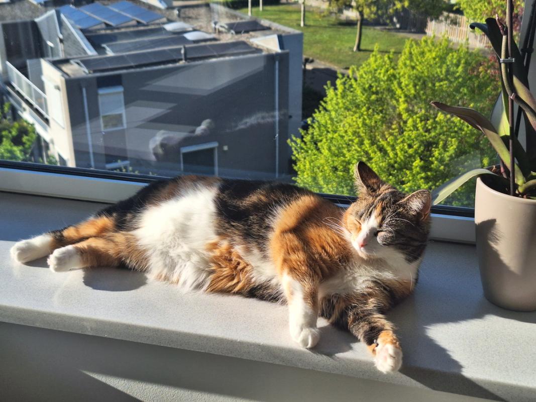 Luna