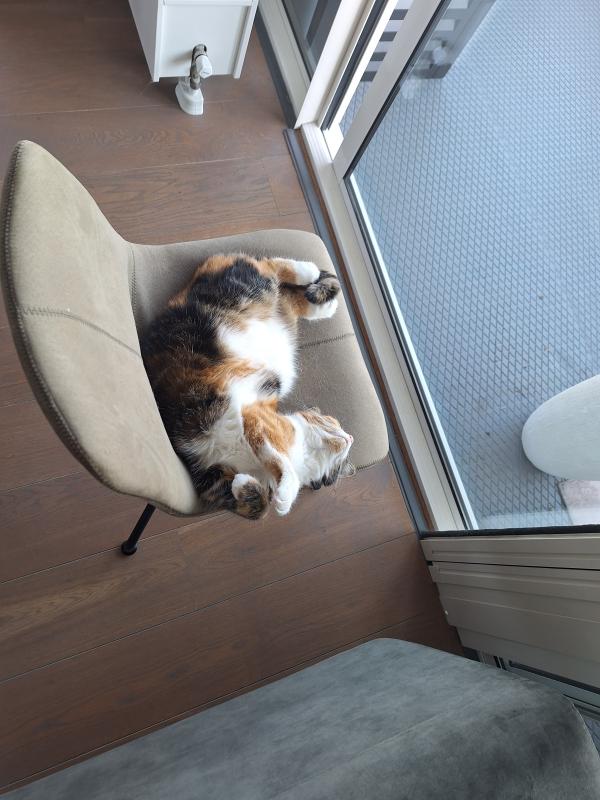 Luna