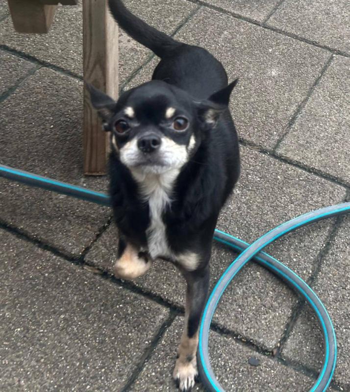 Milo