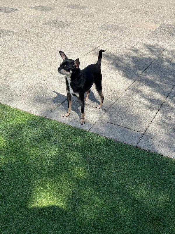 Milo