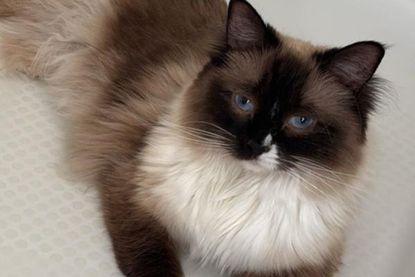Milly