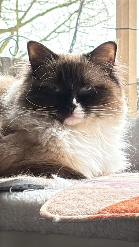 Milly