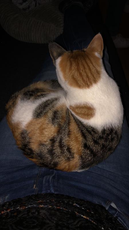 Zoë