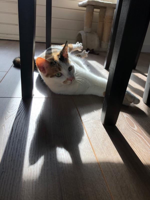 Zoë
