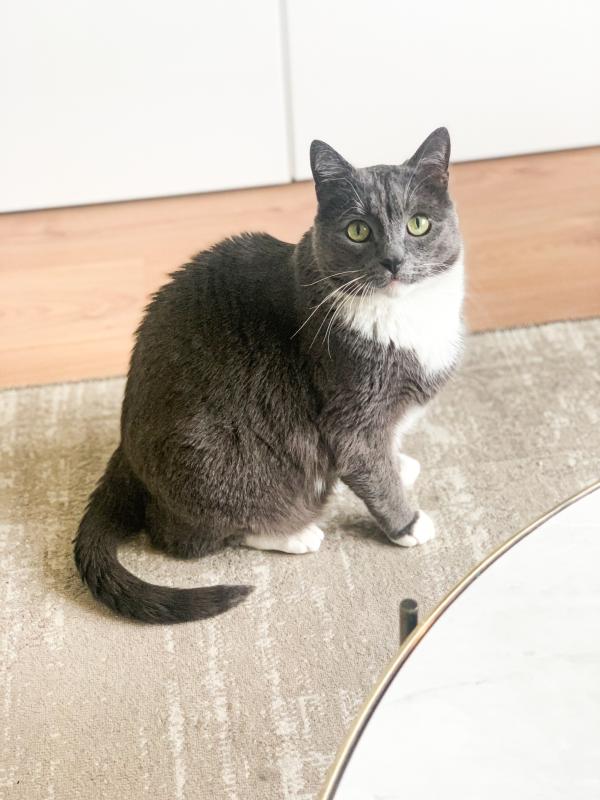 Max