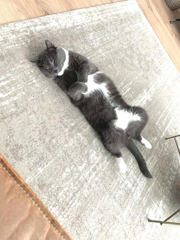 Max