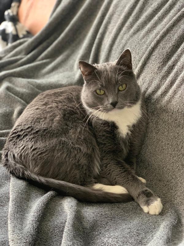 Max