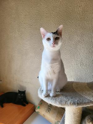 Lupita