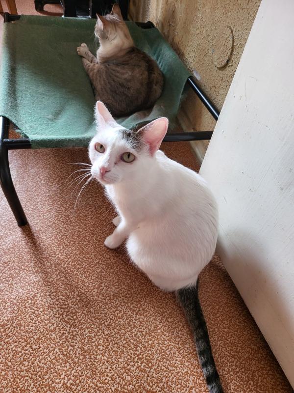 Lupita
