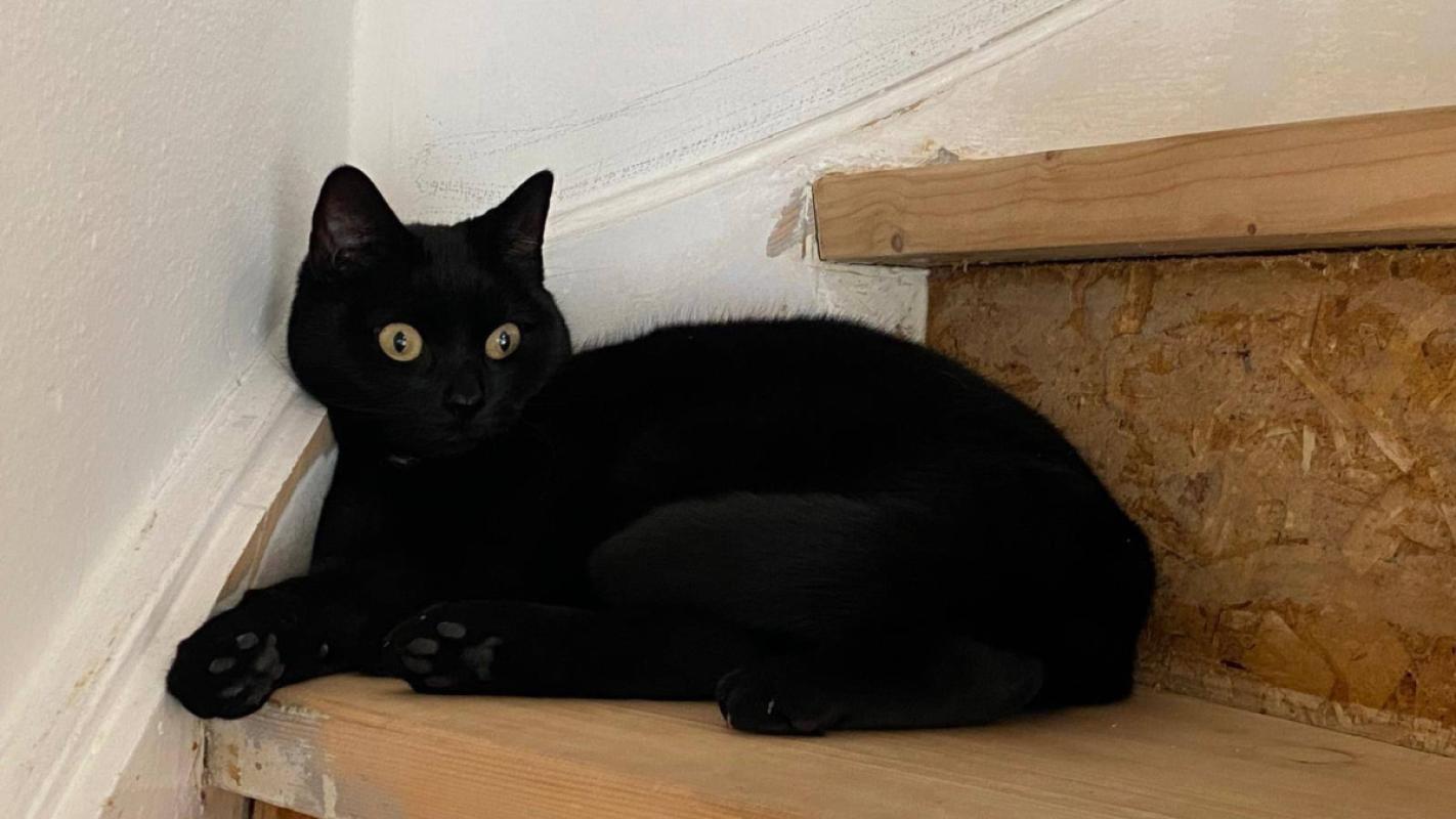 Luna