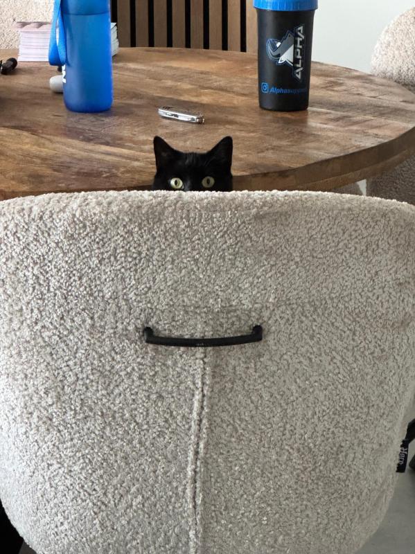 Luna