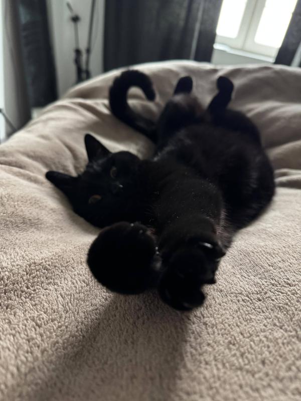 Luna