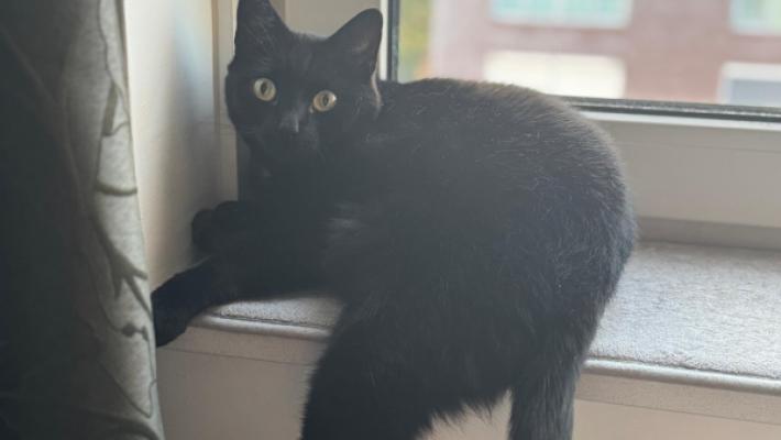 Luna