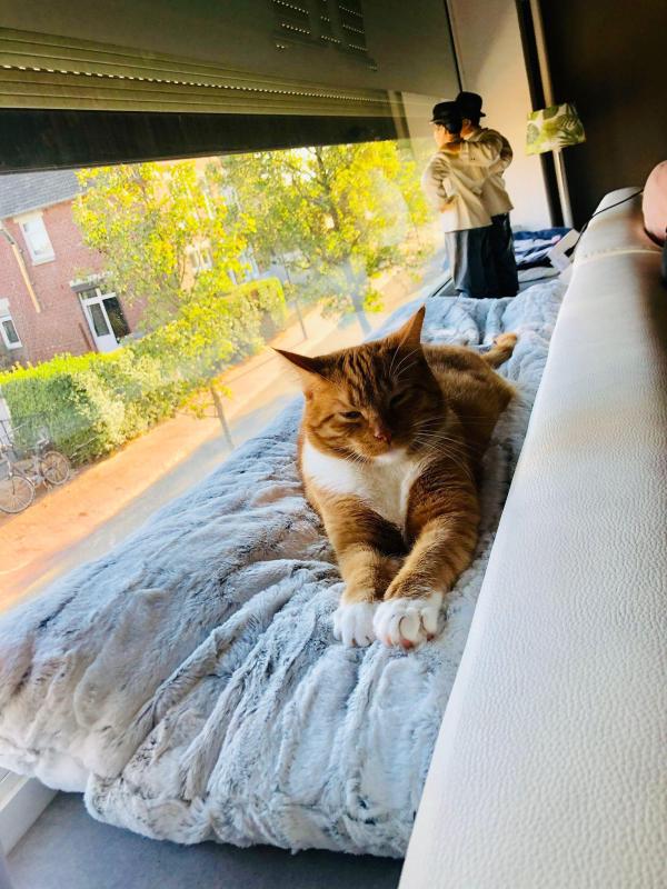 Loël