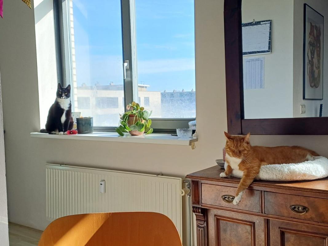 Loël