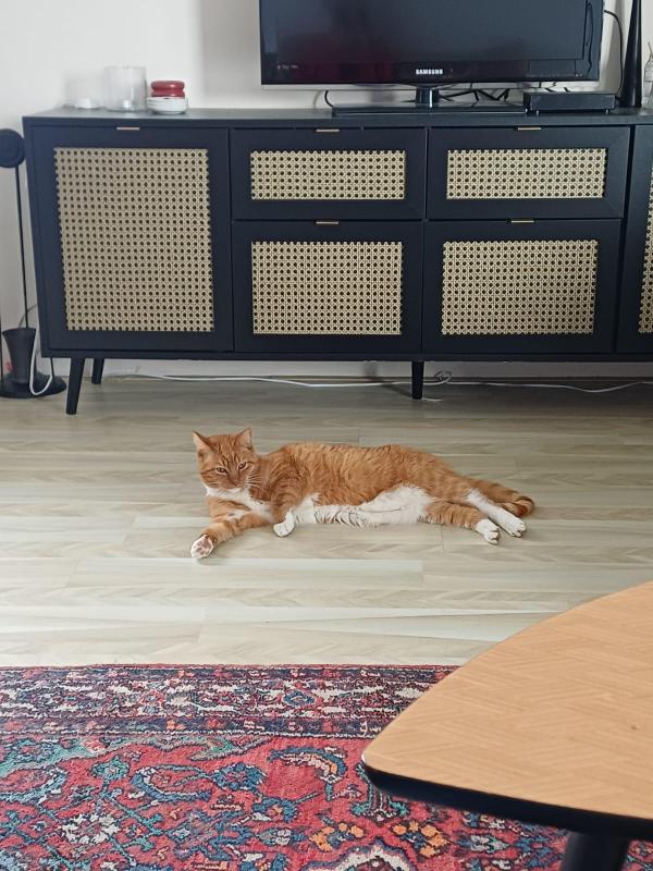 Loël
