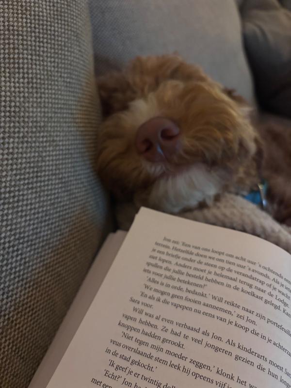 Murphy
