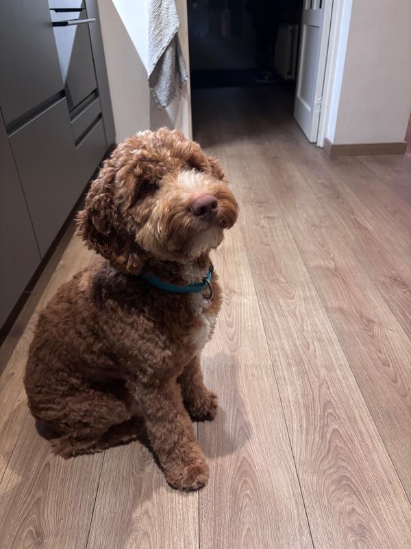 Murphy