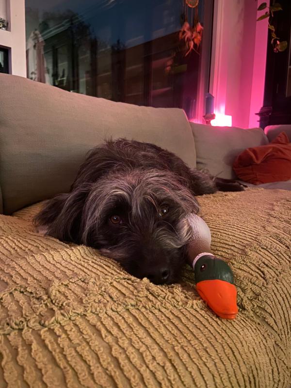 Ellie