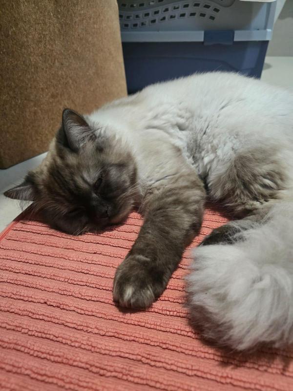 Oliver
