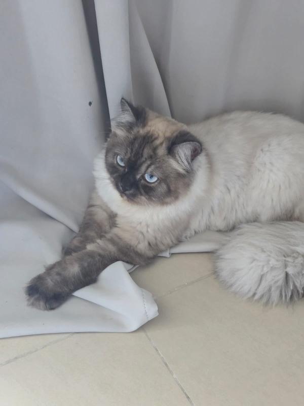Oliver