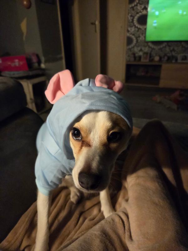 Cookie