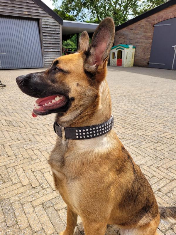 Beau