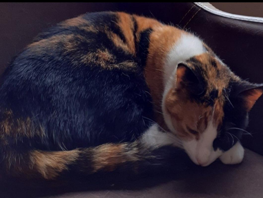 Nina
