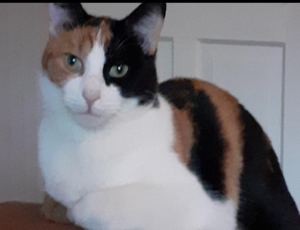 Nina