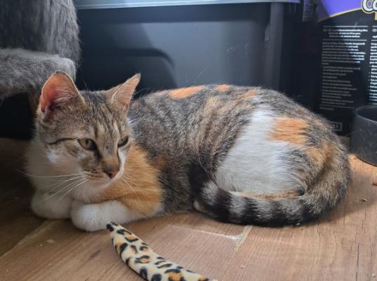 Lilith