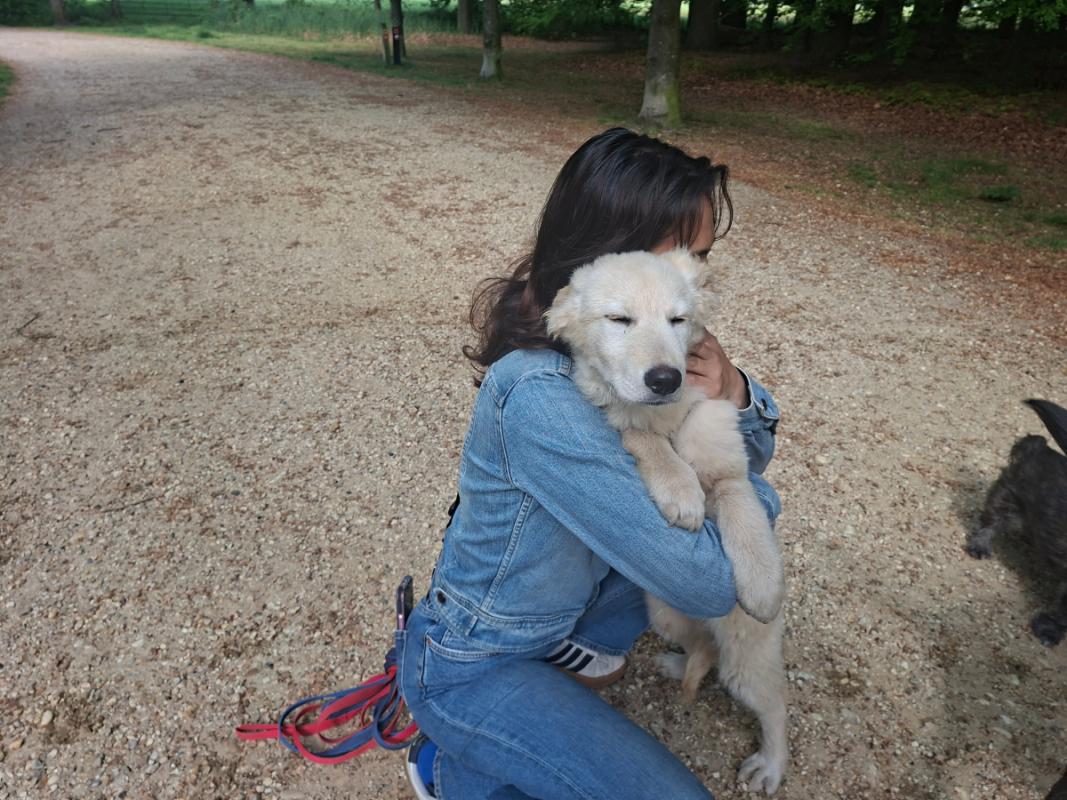 Tobia