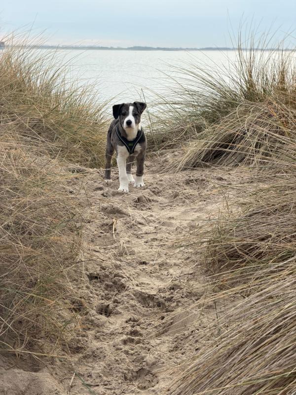 *SPOED* Mexxie