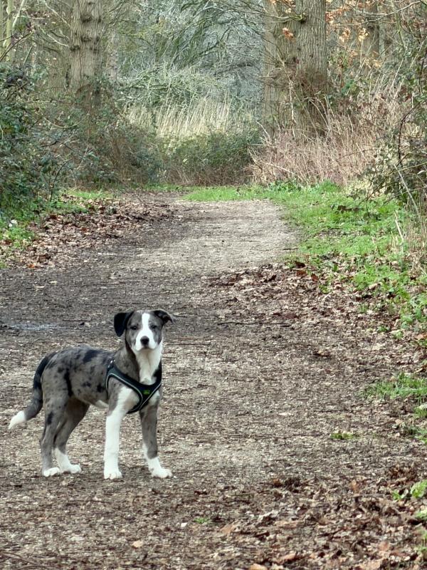*SPOED* Mexxie