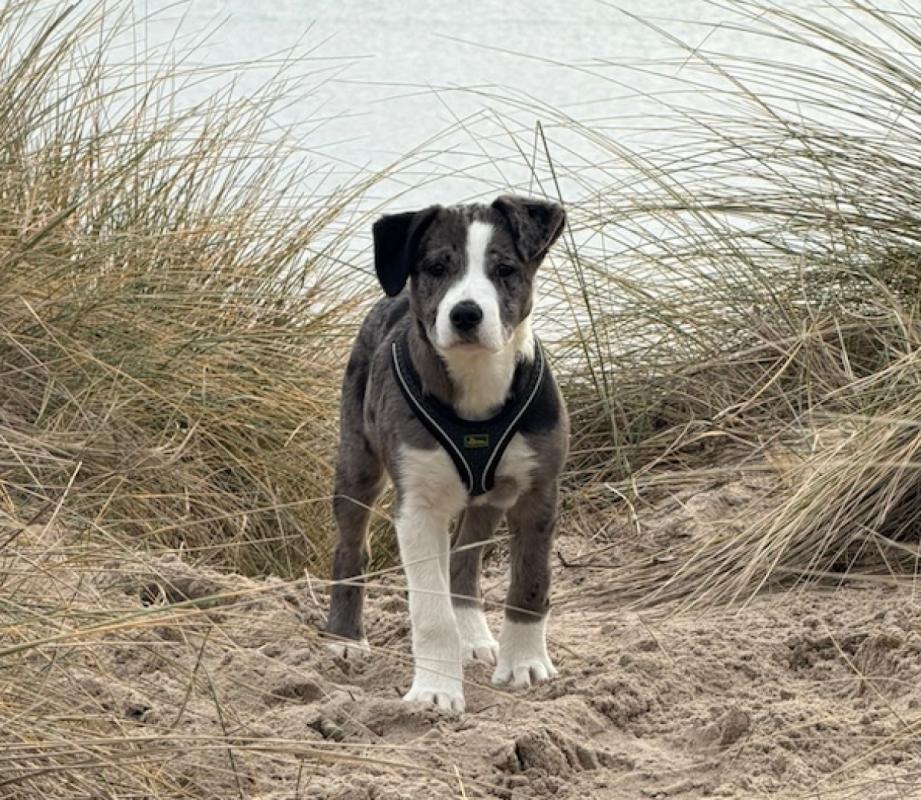 *SPOED* Mexxie