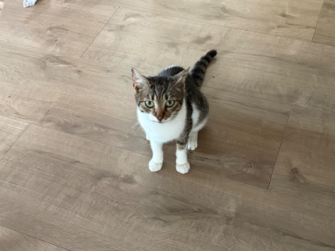 Fiona
