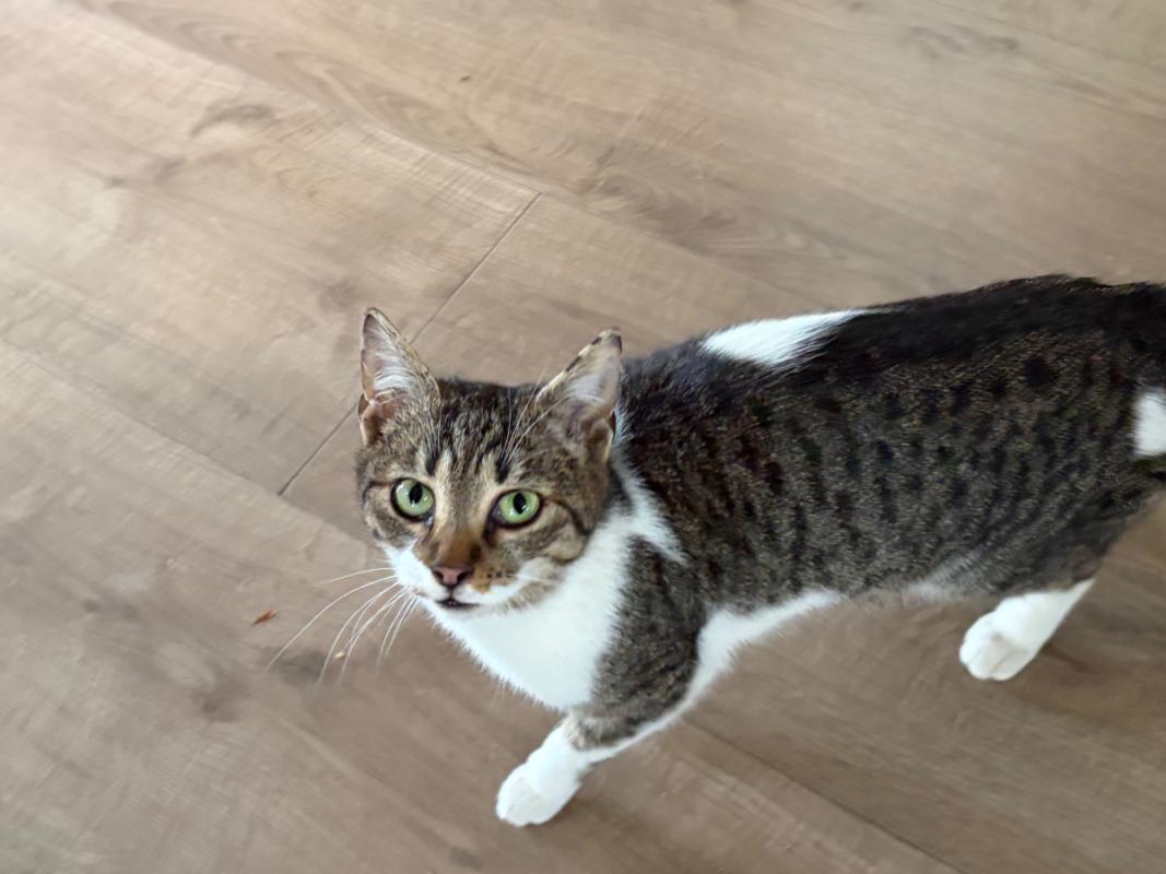 Fiona