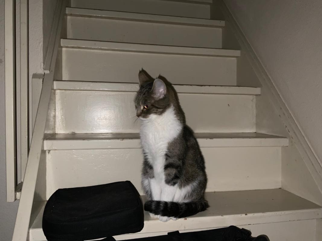 Kira