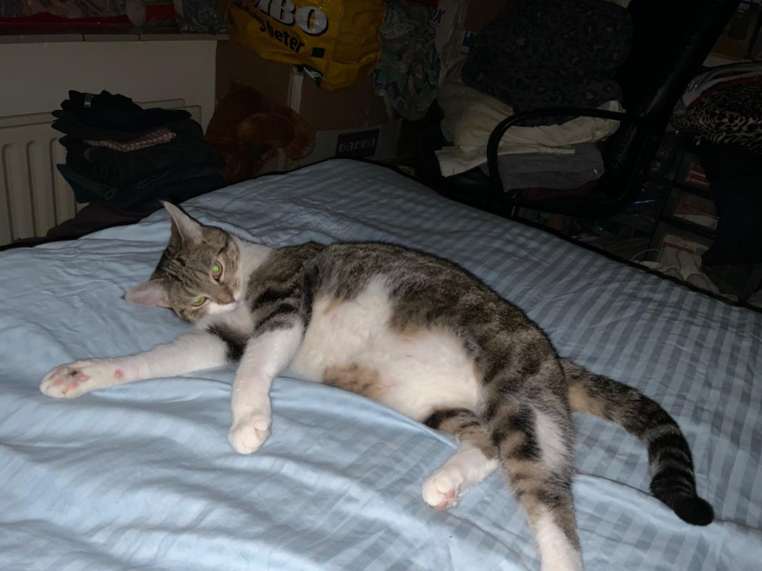 Kira