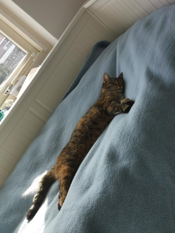 *SPOED* Lotje