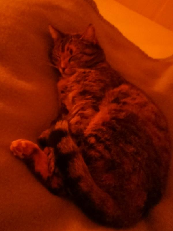 *SPOED* Lotje