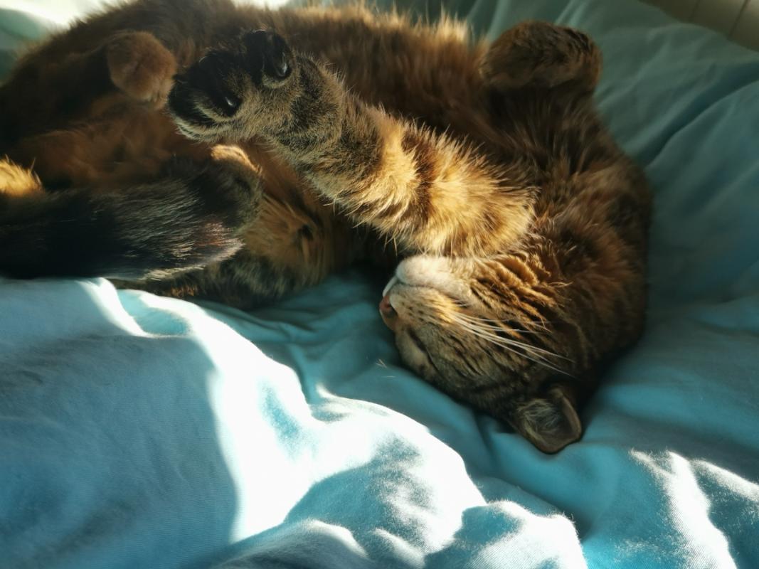 *SPOED* Lotje