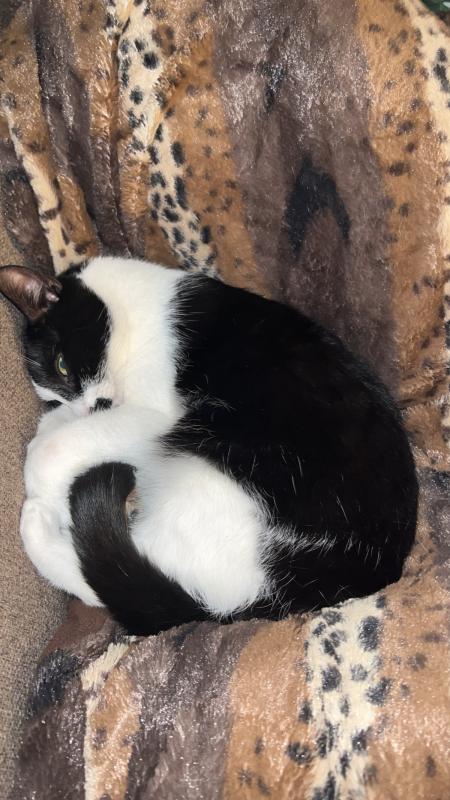 Coco