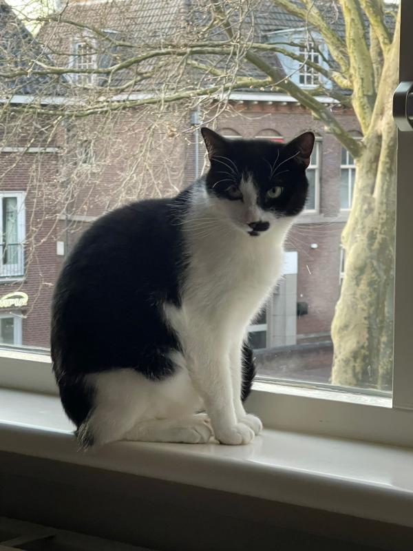 Coco