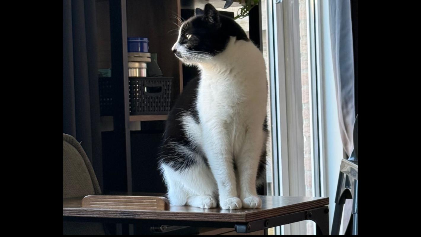 Coco