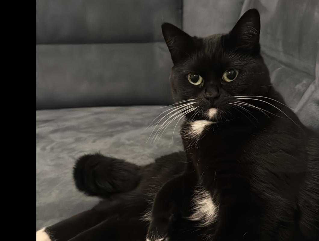 Mila