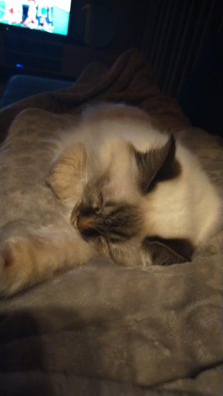 Mila