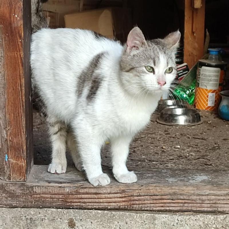 Coco