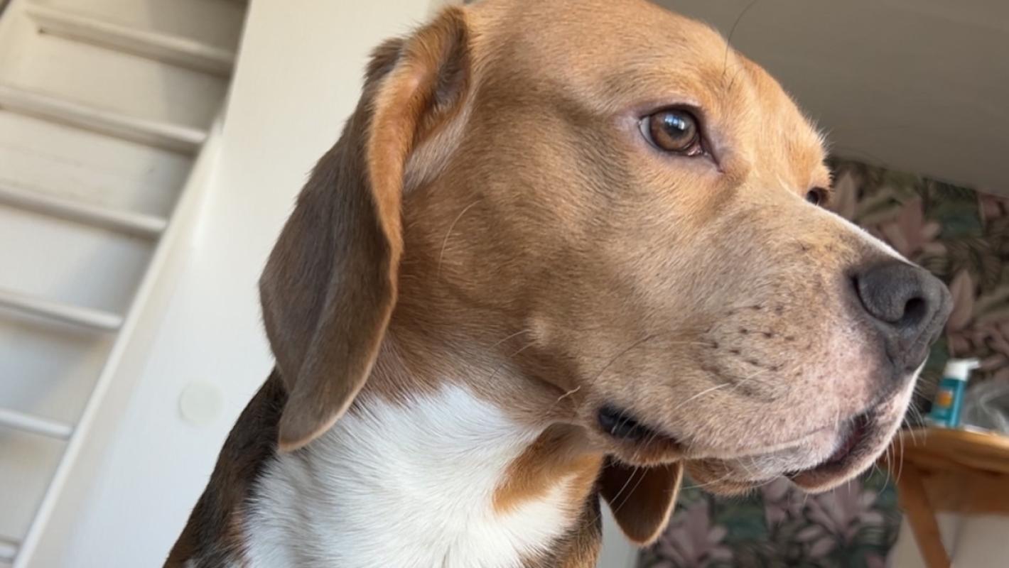Max