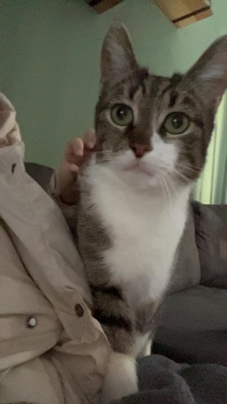 Remy