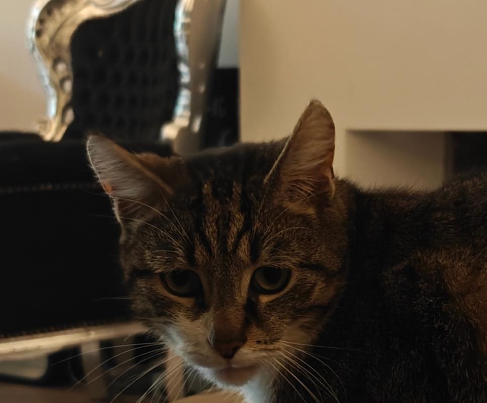Remy